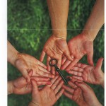 img-X12142422-0001